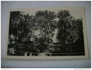 ALGERIE - BLIDA - JARDIN BIZOT (EDITION A. MAUGUIN BLIDA N° 3)