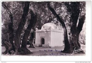 algérie blida le bois sacré , la kouba sidi yacoub