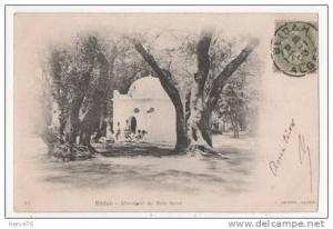 ALGERIE -  BLIDA - BLIDAH - Marabout du Bois Sacré