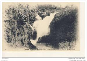 ALGERIE blida gorges de la chiffa les cascades cpa bon état