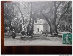 BLIDA LE bois sacré