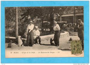 Blida. - Gorges de la Chiffa. - Au Ruisseau des Singes. - L.L.