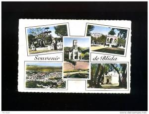 ALGERIE MULTI VUES SOUVENIR DE BLIDA