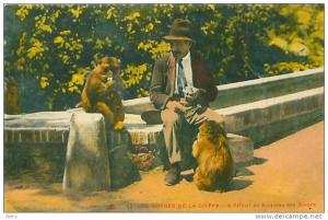 CPA         Les  gorges de la Chiffa   l'Hôtel du ruisseau des singes          colorisée    animée          G-492