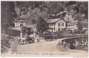 CPA * * BLIDA * * Gorges de la Chiffa - Hôtel du Ruisseau des Singes