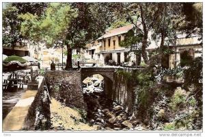 ALGERIE - Blida - Auberge de la Chiffa - TTBE neuve