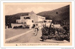 Algérie - Blida - Les Gorges de la Chiffa - L´hôtel du Rocher des singes - Editeur CAP N° 110