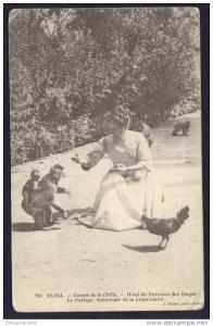 CPA ANIMEE - 156 BLIDA Gorges de la Chiffa Hôtel du ruisseau des singes - non circulée