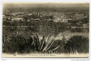 ALGERIE  BLIDA - VUE GENERALE PRISE DU FORT MIMICH
