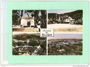 MEA53 ALGERIE Souvenir de BLIDA multivues Marabout de Sidi Yacoub Chiffa jardin Ricci (voir descript 2scan)  format CPA