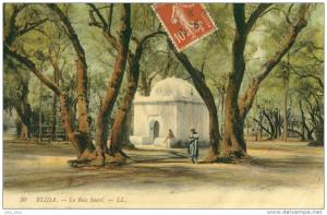 Blida .  Le Bois Sacré .  Marabout .  BELLES COULEURS .