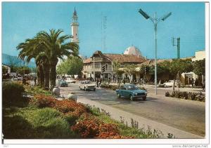 CPSM - Algérie  -      BLIDA    -   Vue d'ensemble -