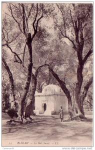 Algérie - Blidah (Blida) - Le Bois Sacré