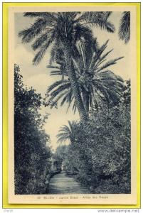 30 Blida jardin Bizot