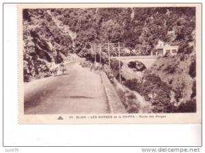 BLIDA - Les Gorges de la Chiffa  - route des Gorges   - n° 111