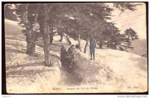 CPA animée  ALGERIE  Blida  Sentier du Col de  Chréa