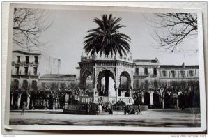 Algérie - CP N° L360 - Blida - CPSM/N