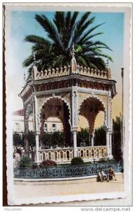 Algérie - CP N° L362 - Blida - CPSM/N