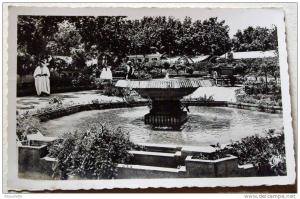 Algérie - CP N° L364 - Blida - CPSM/N