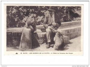 65   BLIDA  -  LES  GORGES  DE  LA  CHIFFA  -  A  l´ Hôtel  du  Ruisseau  des  Singes