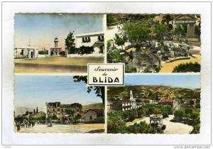 Blida       Souvenir de Blida       Multivues