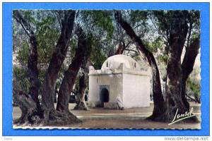 BLIDA  (Algérie) Le Bois Sacré - La Kouba Sidi Yacoub