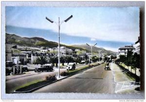 Algérie - CP N° 163F - Blida, Boulevard Beauprêtre - CPSM/N