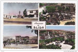 CPSM ALGERIE souvenir de  BLIDA  multivues