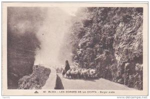 60 - BLIDA - LES GORGES DE LA CHIFFA - Berger Arabe (Moutons)