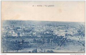 ALGERIE - BLIDA - Vue générale
