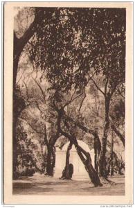 ALGERIE - BLIDA - Le Bois Sacré