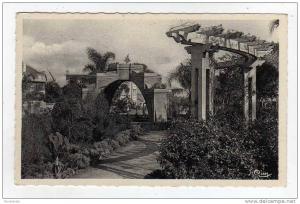 Cpsm BLIDA Joli coin du Jardin public