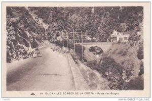 111 - BLIDA - LES GORGES DE LA CHIFFA - Route des Gorges (Animation)