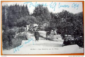 Algérie - CP N° AL839b - Blida Glaciere de Neige - CPA/E