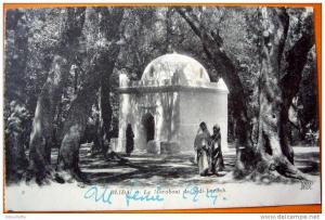 Algérie - CP N° AL840 - Blida Marabout Sidi Yacoub - CPA/E
