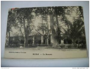 ALGERIE - BLIDA - LA REMONTE - 1927 (EDITION COLLECTION MODERNE GRAZIANO)
