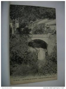 ALGERIE - BLIDA - LES GORGES DE LA CHIFFA - HOTEL ET RUISSEAU DES SINGES (EDITION COLLECTION IDEALE P.S. N° 10)