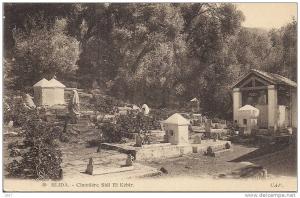 -  CPA  -  Algérie  -     BLIDA  -   Cimetière Sidi El Kébir  -