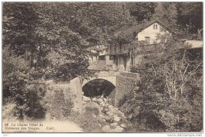 -  CPA  -  Algérie  -     BLIDA  -   Le Châlet Hôtel du Ruisseau des Singes    -