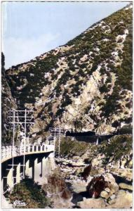CPA/CPSM carte postale ancienne AFRIQUE ALGERIE BLIDA  gorges de la CHIFFA
