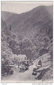 cpa-alg-blida-les gorges de la chiffa-animée avec  attelages