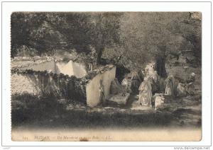 Blidah      le marabout en plein bois