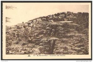 Blida-Chréa - Ensemble des Chalets - C.A.P. ( K 802 )