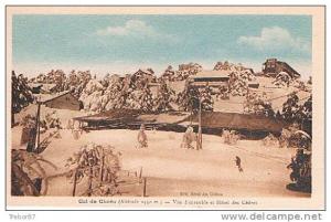 ALGÉRIE - BLIDA - Col de Chréa - Vue d'ensemble et Hôtel des Cèdres