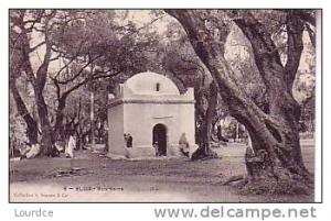 Blida  le bois sacré