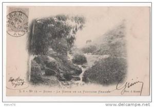 AFRIQUE - ALGERIE - BLIDA - La route de la Fontaine Fraîche