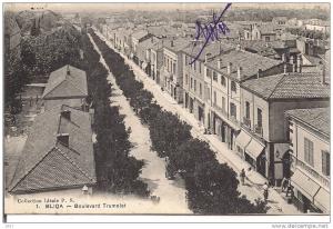 Algérie -   CPA    -  BLIDA   -  Boulevard Trumelet -