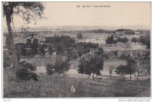 Unknown French Publisher Postcard - 120 - Blida, Vue Générale