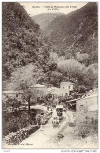 CPA ALGERIE BLIDA la chiffa ruisseau des singes