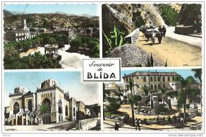 Algerie Blida - Multivues